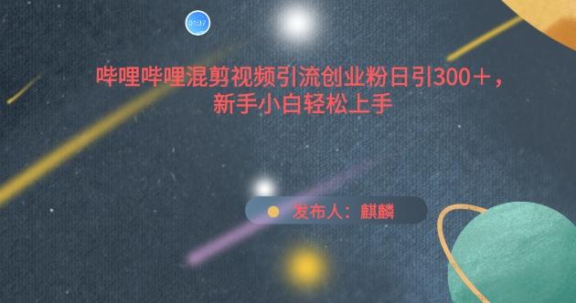 哔哩哔哩混剪视频引流创业粉日引300+，新手小白轻松上手【揭秘】-大熊网创