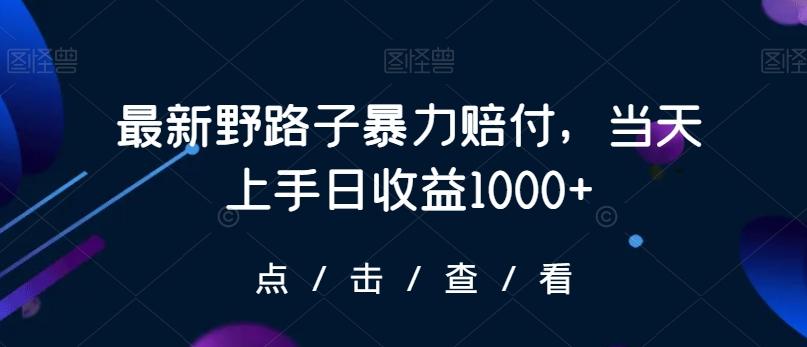 最新野路子暴力赔付，当天上手日收益1000+【仅揭秘】-大熊网创