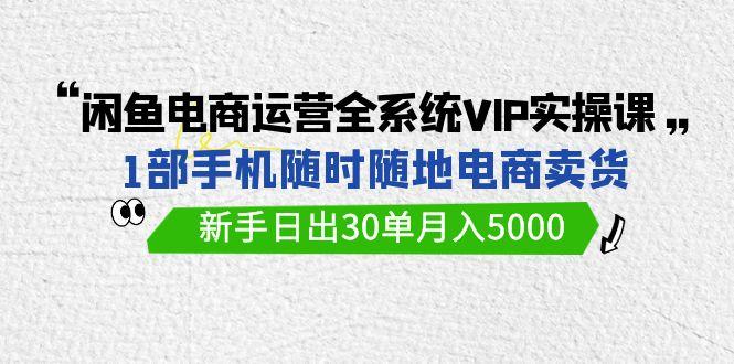 (9547期)闲鱼电商运营全系统VIP实战课，1部手机随时随地卖货，新手日出30单月入5000-网创星球