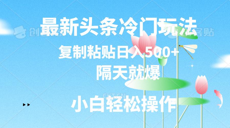 最新头条冷门玩法，隔天就爆，复制粘贴日入500+-大熊网创
