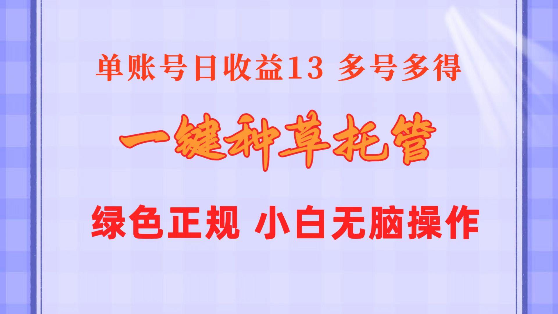 一键种草托管 单账号日收益13元  10个账号一天130  绿色稳定 可无限推广-大熊网创
