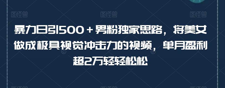 暴力日引500＋男粉独家思路，将美女做成极具视觉冲击力的视频，单月盈利超2万轻轻松松-大熊网创