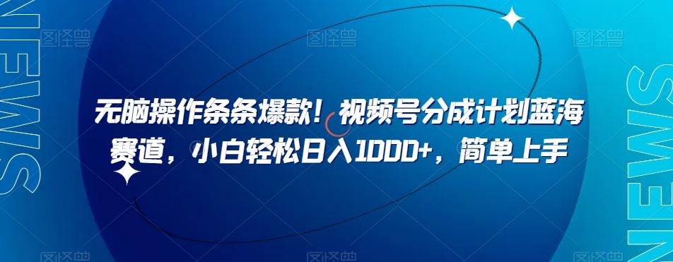 无脑操作条条爆款！视频号分成计划蓝海赛道，小白轻松日入1000+，简单上手-大熊网创