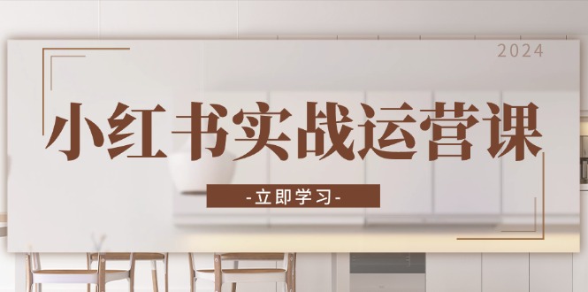 小红书实战运营课：从开通店铺到直播话术，打造爆款笔记与高效直播-大熊网创