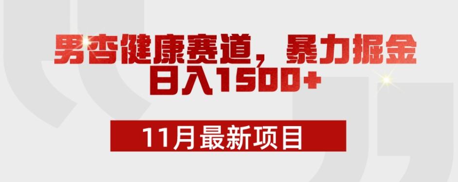 11月最新项目，男杏健康赛道，暴力掘金，日入1500+-大熊网创