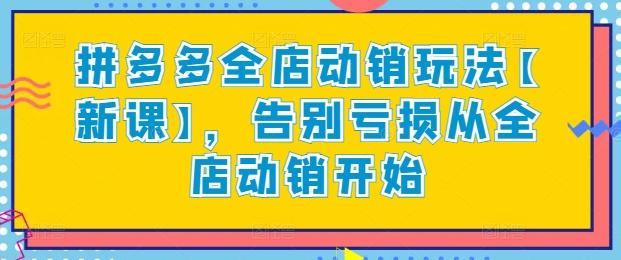 拼多多全店动销玩法【新课】，告别亏损从全店动销开始-大熊网创