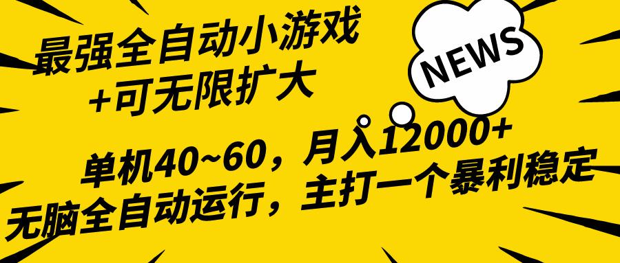 (10046期)2024最新全网独家小游戏全自动，单机40~60,稳定躺赚，小白都能月入过万-大熊网创