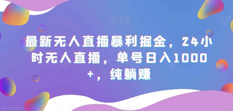最新无人直播暴利掘金，24小时无人直播，单号日入1000+，纯躺赚-大熊网创