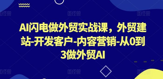 AI闪电做外贸实战课，​外贸建站-开发客户-内容营销-从0到3做外贸AI-网创星球