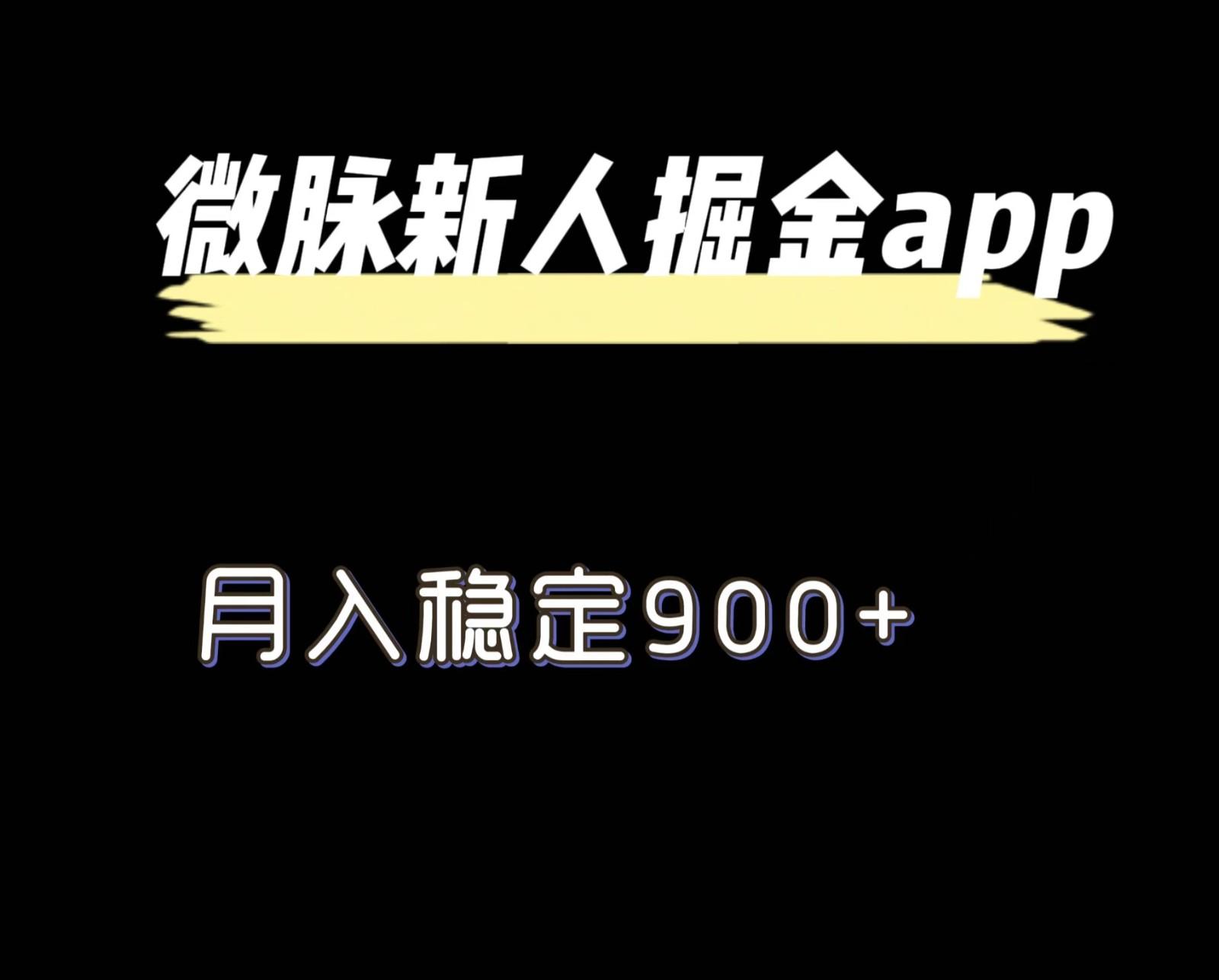 最新微脉长久项目，拉新掘金，月入稳定900+-大熊网创