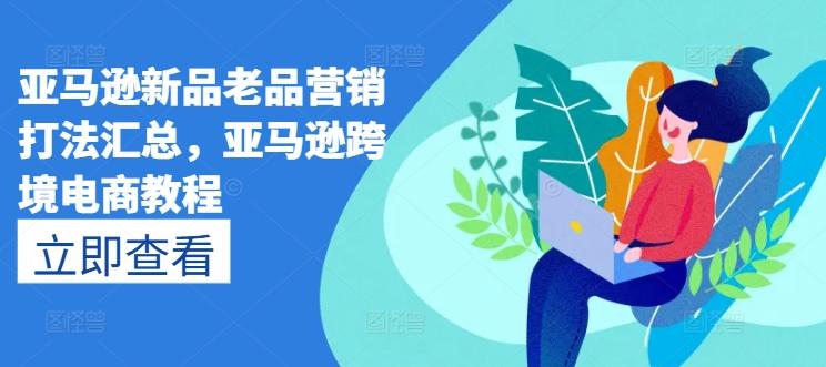 亚马逊新品老品营销打法汇总，亚马逊跨境电商教程-大熊网创