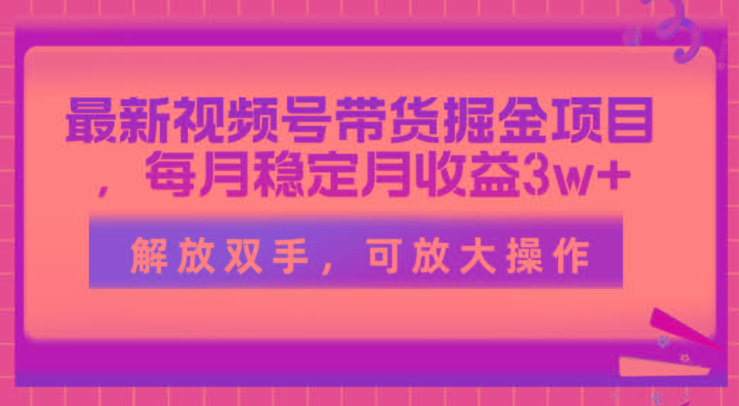 最新视频号带货掘金项目，每月稳定月收益3w+，解放双手，可放大操作-大熊网创