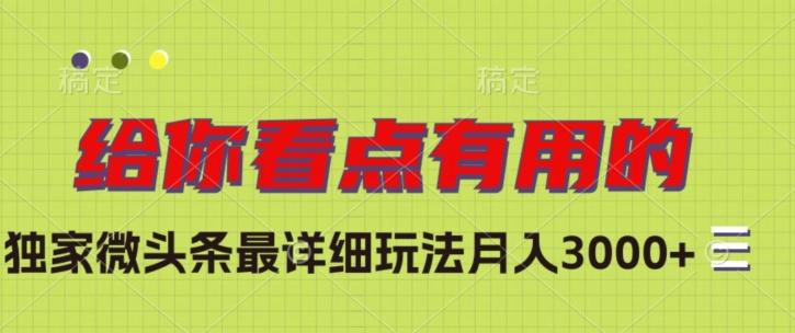 独家微头条最详细玩法，月入3000+【揭秘】-大熊网创