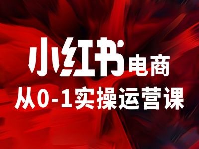 小红书电商从0-1实操运营课，让你从小白到精英-大熊网创