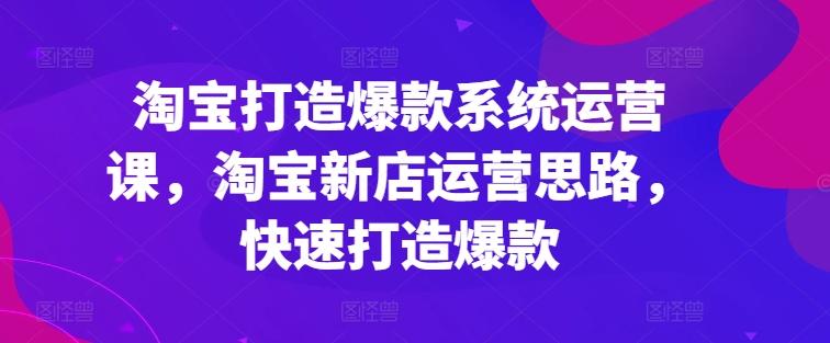 淘宝打造爆款系统运营课，淘宝新店运营思路，快速打造爆款-大熊网创