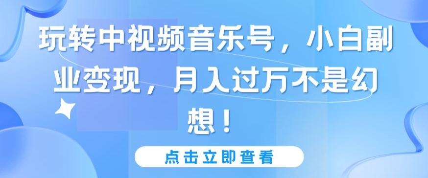 玩转中视频音乐号，小白副业变现，月入过万不是幻想【揭秘】-大熊网创