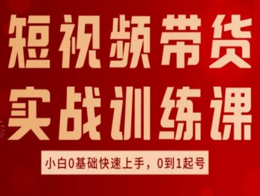 短视频带货实战训练课，好物分享实操，小白0基础快速上手，0到1起号-大熊网创
