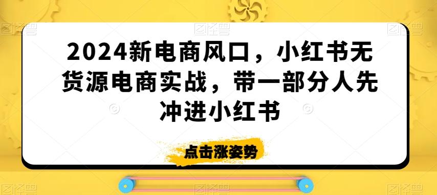 2024新电商风口，小红书无货源电商实战，带一部分人先冲进小红书-大熊网创