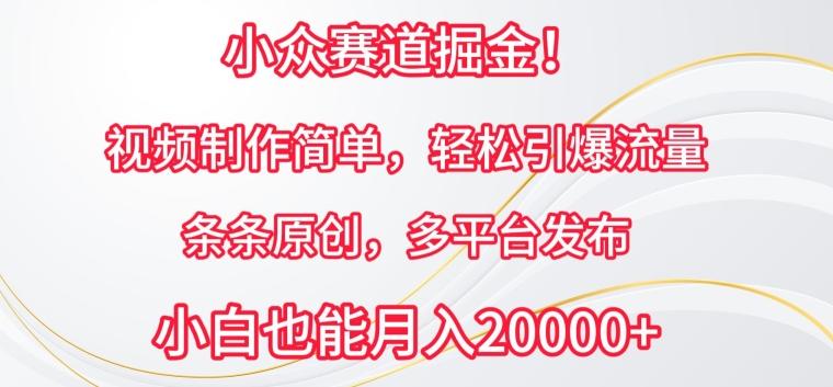小众赛道掘金，视频制作简单，轻松引爆流量，条条原创，多平台发布【揭秘】-大熊网创
