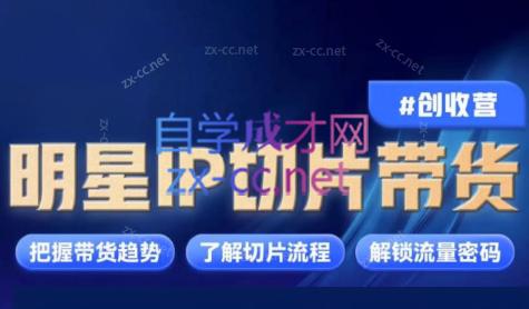 交个朋友·明星IP切片带货爆单营-大熊网创