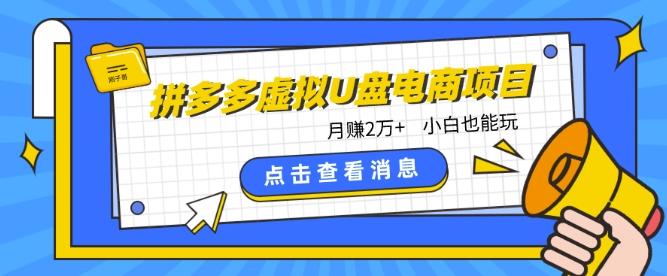 拼多多虚拟U盘电商红利项目：月赚2万+，新手小白也能玩-大熊网创