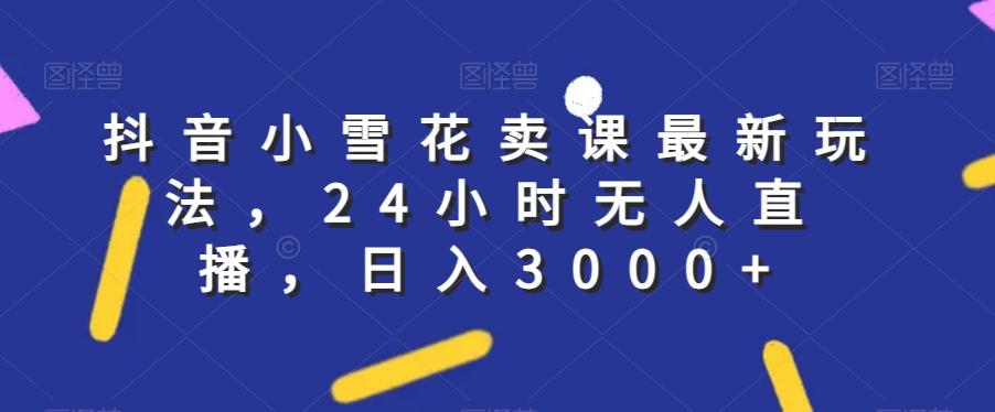 抖音小雪花卖课最新玩法，24小时无人直播，日入3000+【揭秘】-大熊网创