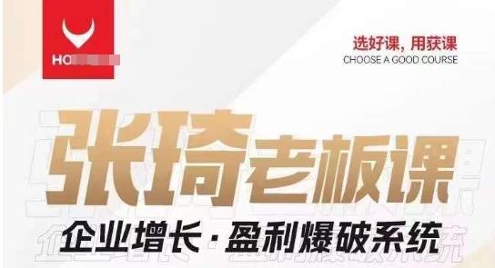 【组合课】张琦张琦老板企业增长·盈利爆破系统（直播专享）-大熊网创