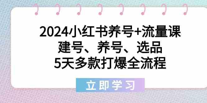 2024小红书养号+流量课：建号、养号、选品，5天多款打爆全流程-大熊网创
