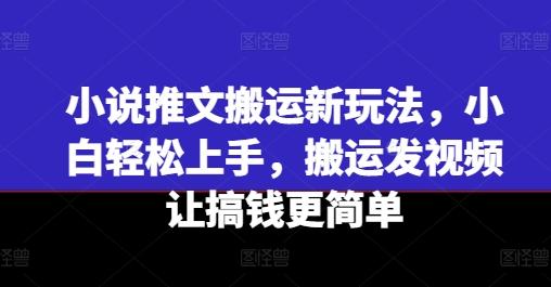 小说推文搬运新玩法，小白轻松上手，搬运发视频让搞钱更简单-大熊网创