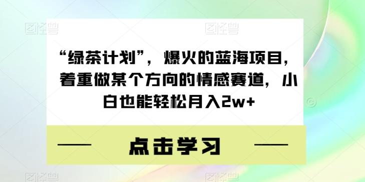 “绿茶计划”，爆火的蓝海项目，着重做某个方向的情感赛道，小白也能轻松月入2w+【揭秘】-大熊网创