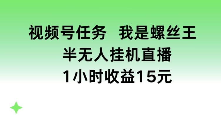 视频号任务，我是螺丝王， 半无人挂机1小时收益15元【揭秘】-网创星球