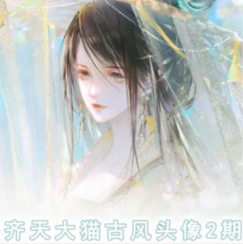 齐天大猫古风头像课第2期，帮助您提高您的绘画技能-大熊网创