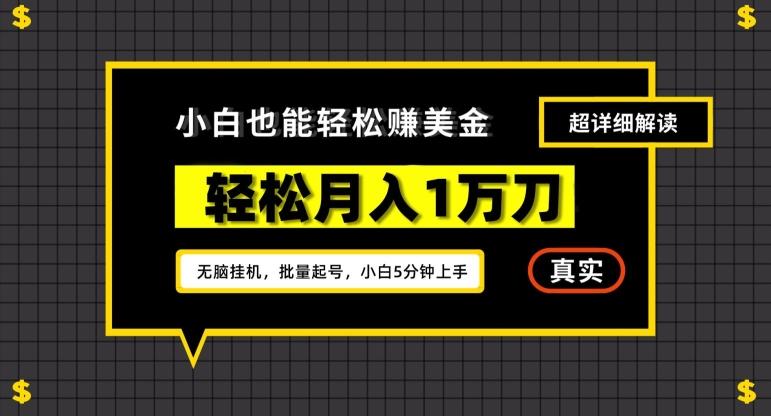谷歌看广告撸美金2.0，无脑挂机，多号操作，月入1万刀【揭秘】-网创星球