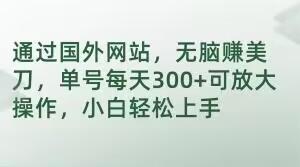 通过国外网站，无脑赚美刀，单号每天300+可放大操作，小白轻松上手【揭秘】-大熊网创
