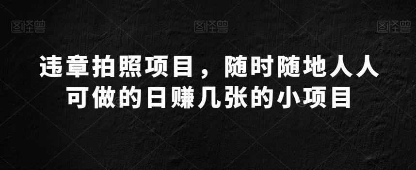 违章拍照项目，随时随地人人可做的日赚几张的小项目-大熊网创