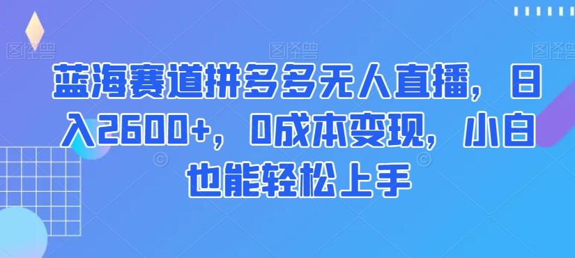 蓝海赛道拼多多无人直播，日入2600+，0成本变现，小白也能轻松上手【揭秘】-大熊网创
