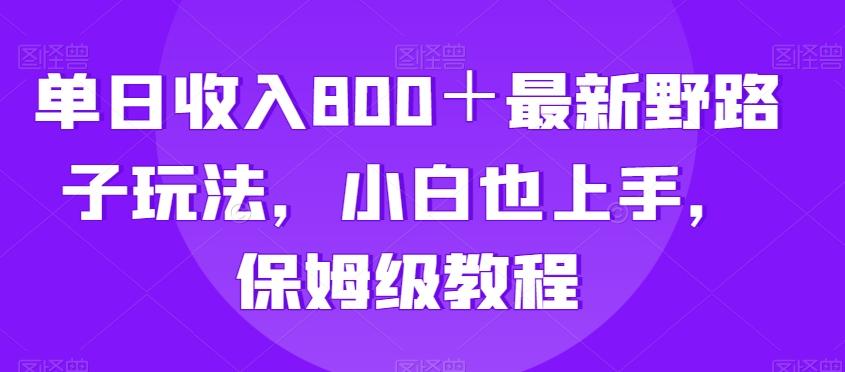 单日收入800＋最新野路子玩法，小白也上手，保姆级教程-网创星球