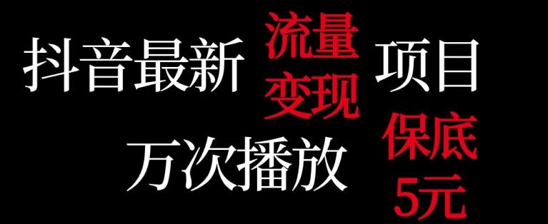 抖音流量变现，万次播放保底5元，额外收入-大熊网创