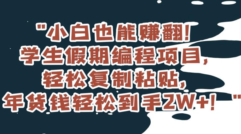 小白也能赚翻！学生假期编程项目，轻松复制粘贴，年货钱轻松到手2W+【揭秘】-大熊网创