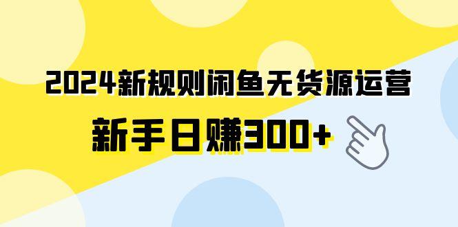 (9522期)2024新规则闲鱼无货源运营新手日赚300+-大熊网创