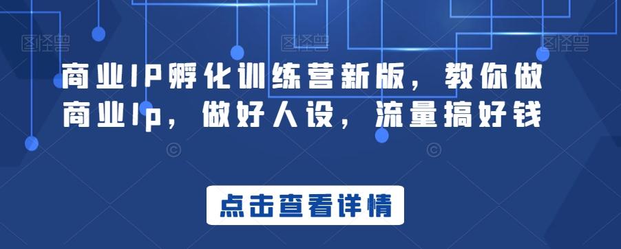 商业IP孵化训练营新版，教你做商业Ip，做好人设，流量搞好钱-大熊网创