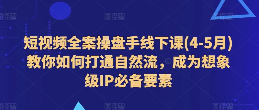 短视频全案操盘手线下课(4-5月)教你如何打通自然流，成为想象级IP必备要素-大熊网创