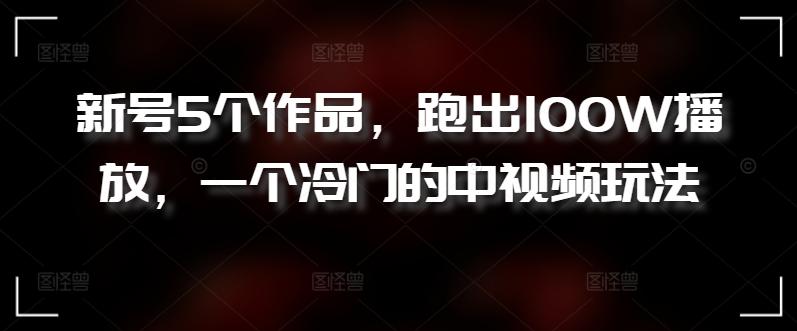 新号5个作品，跑出100W播放，一个冷门的中视频玩法【揭秘】-大熊网创