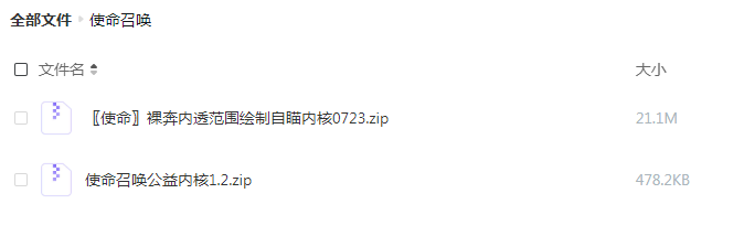 使命召唤裸奔内透范围绘制自瞄内核更新-大熊网创