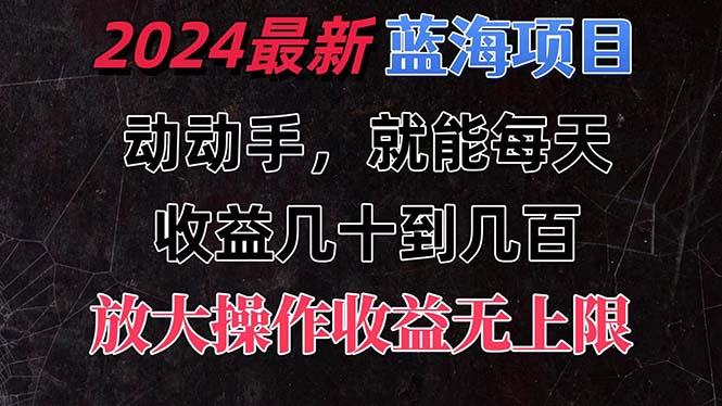 有手就行的2024全新蓝海项目，每天1小时收益几十到几百，可放大操作收…-大熊网创
