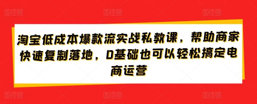 淘宝低成本爆款流实战私教课，帮助商家快速复制落地，0基础也可以轻松搞定电商运营-网创星球