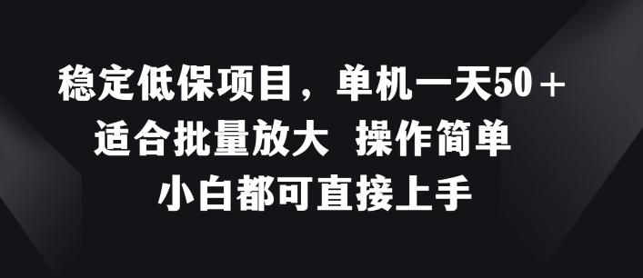 稳定低保项目，单机一天50+适合批量放大 操作简单 小白都可直接上手【揭秘】-大熊网创