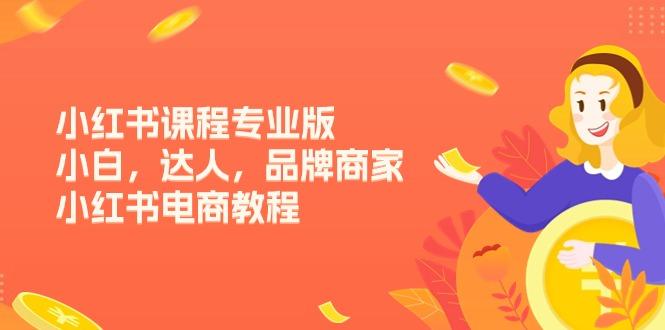 小红书课程专业版，小白，达人，品牌商家，小红书电商教程(15节-大熊网创