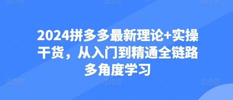 2024拼多多最新理论+实操干货，从入门到精通全链路多角度学习-大熊网创