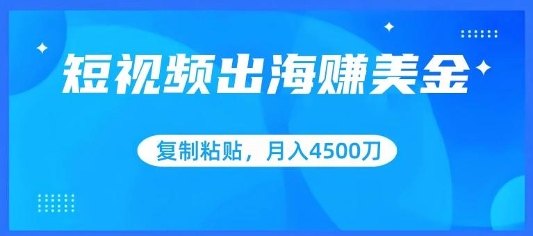 短视频出海赚美金，复制粘贴批量操作，小白轻松掌握，月入4500美刀【揭秘】-大熊网创